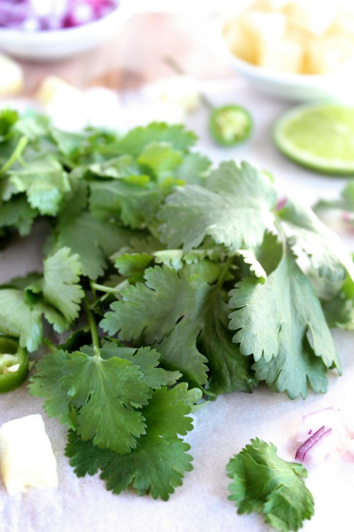 Roasted Almond & Jalapeno' Pesto {Vegan, Gluten Free & Paleo Friendly} - www.betterwithcake.com