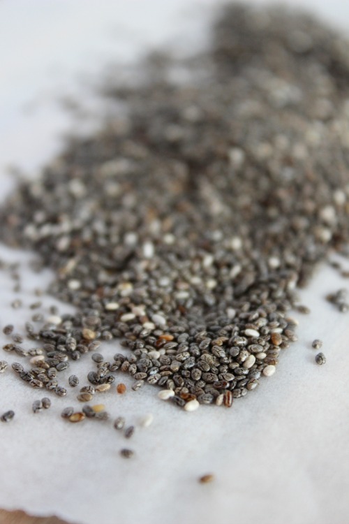 Whipped Chocolate Coconut Chia Pudding {Vegan, Dairy Free & Paleo Friendly}