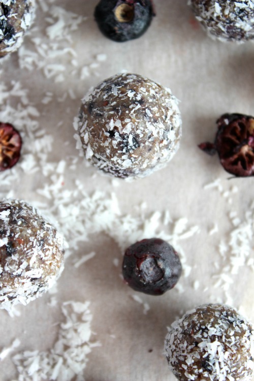 Blueberry Coconut Crunch Bliss Bites {Vegan, Dairy Free & Paleo Friendly}