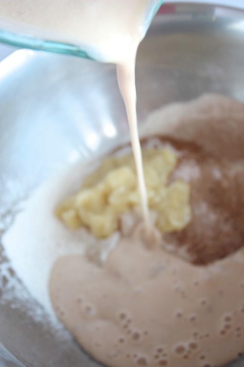 Wild Strawberry, Rhubarb and Banana Muffins