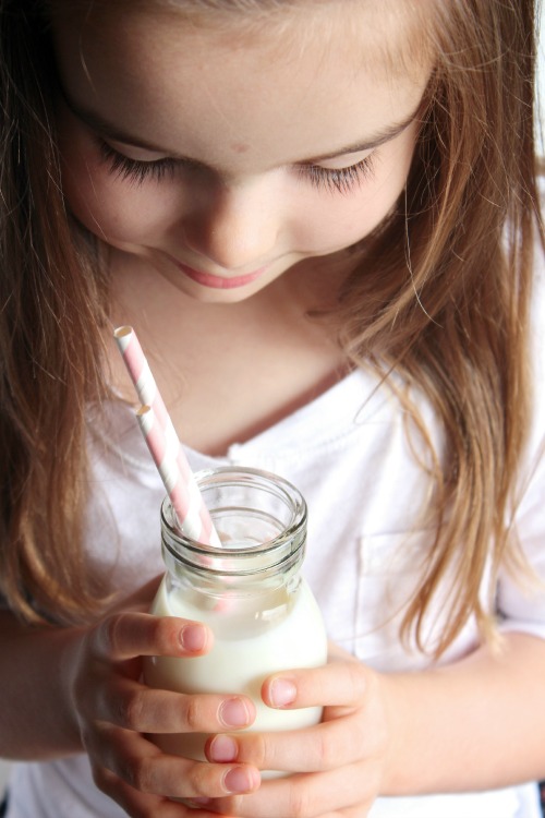 Wild Strawberry, Rhubarb and Banana Muffins