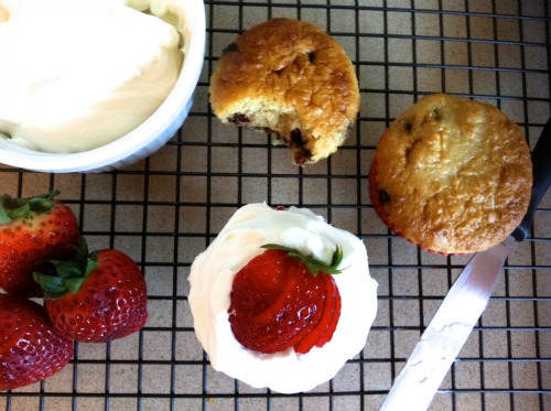 Chocolate Chip Cupcakes for 3 and a question . . .