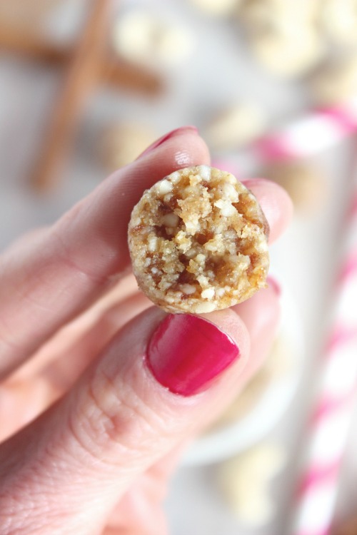 Healthy, No-Bake Snickerdoodle Energy Bites