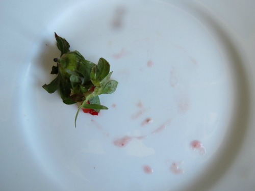 Banana Bread Donuts {Baked} with Strawberry Glaze