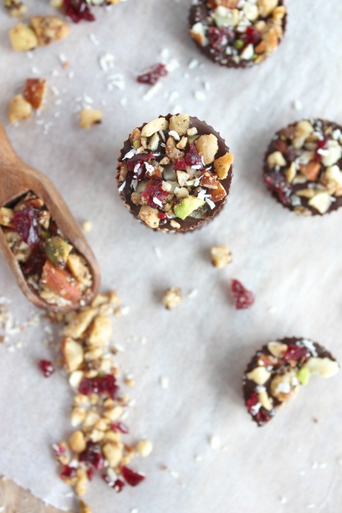 Dark Chocolate Cranberry, Coco-nutty Fruit and Nut Clusters