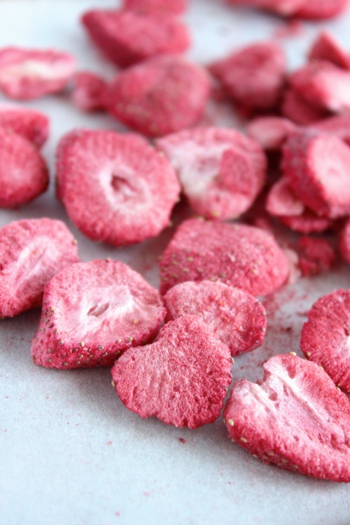 3 Ingredient Dark Chocolate Strawberry Coconut Butter Fudge Bites {Vegan, Gluten Free, Sugar Free, Keto & Paleo Friendly} - www.betterwithcake.com