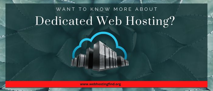 Want to Know More About Dedicated Web Hosting?